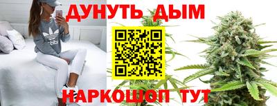 спиды Кинель