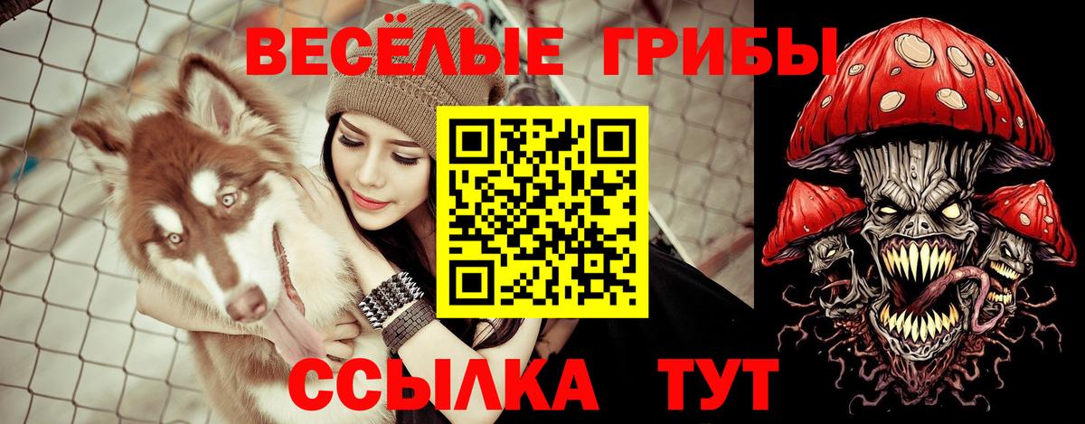 Псилоцибиновые грибы Magic Shrooms  Вход с VPN  Заволжье  Псилоцибиновые грибы Psilocybe 