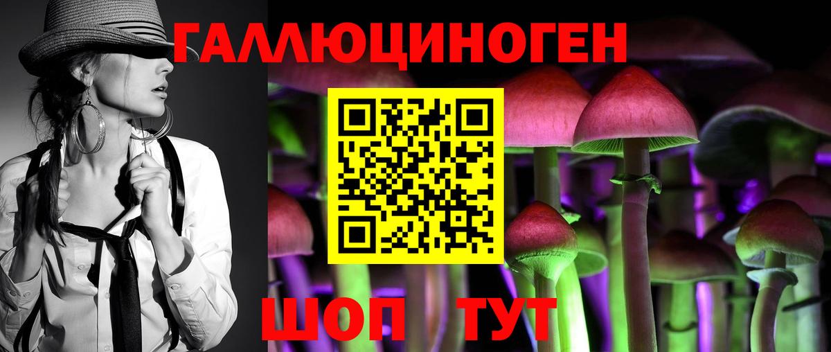НБОМе Заволжье