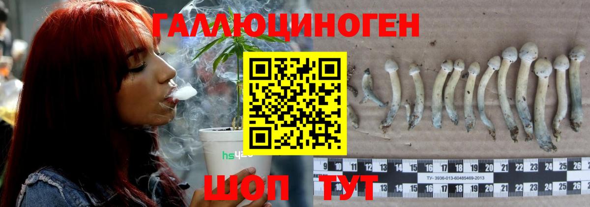 Псилоцибиновые грибы прущие грибы Заволжье